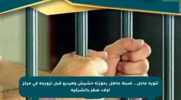تنويه عاجل.. ضبط عاطل بحوزته حشيش وهيدرو قبل ترويجه في مركز أولاد صقر بالشرقية